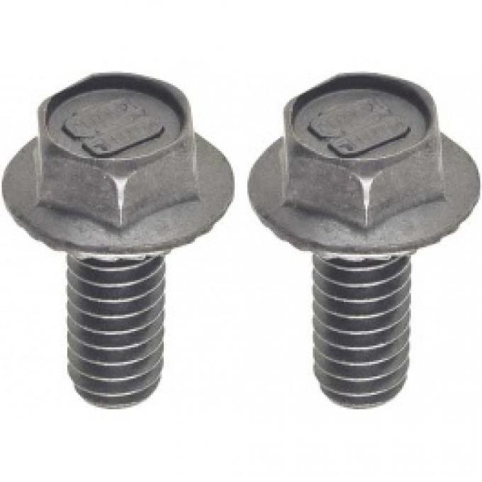 Ford Thunderbird Rear License Plate Light Bolt Set, 1964-66