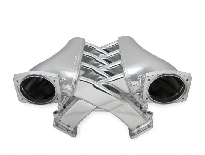 Holly Sniper EFI Fabricated Intake Manifold Dual Plenum 102mm GM LS1/2/6, and Fuel Rail Kit, Silver 820241