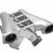 Holly Sniper EFI Fabricated Intake Manifold Dual Plenum 92mm GM LS1/2/6, and Fuel Rail Kit, Silver 820201