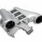 Holly Sniper EFI Fabricated Intake Manifold Dual Plenum 102mm GM LS1/2/6, and Fuel Rail Kit, Silver 820241