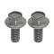 Ford Thunderbird Rear License Plate Light Bolt Set, 1964-66